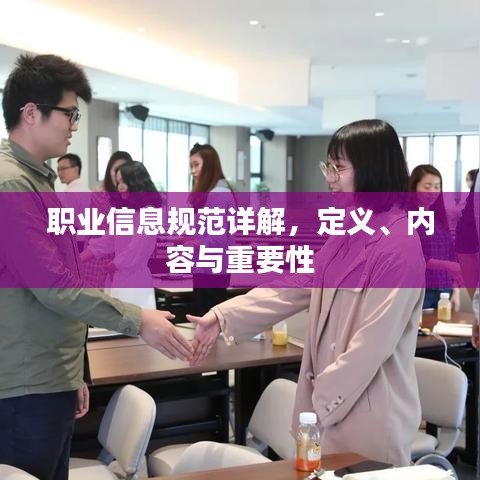 职业信息规范详解，定义、内容与重要性