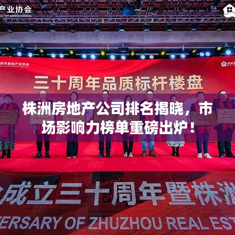 株洲房地产公司排名揭晓，市场影响力榜单重磅出炉！