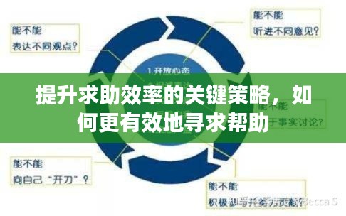 提升求助效率的关键策略，如何更有效地寻求帮助