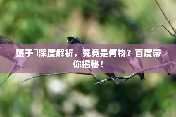 燕子盦深度解析，究竟是何物？百度带你揭秘！
