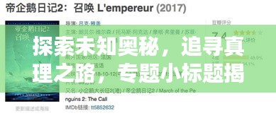 探索未知奥秘，追寻真理之路，专题小标题揭秘