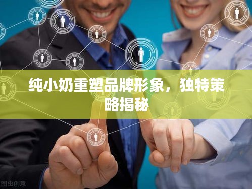 凤凰于飞