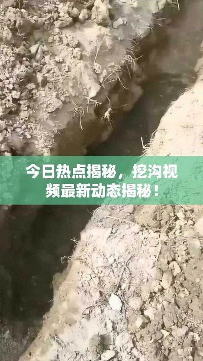 今日热点揭秘，挖沟视频最新动态揭秘！