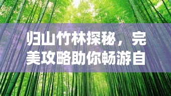 归山竹林探秘，完美攻略助你畅游自然秘境！
