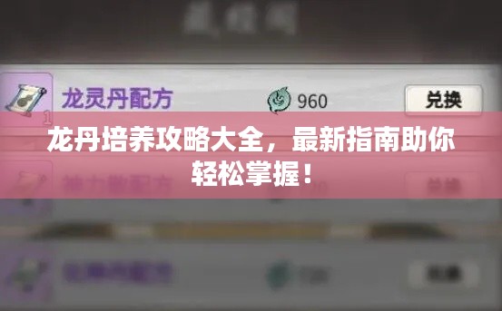 龙丹培养攻略大全，最新指南助你轻松掌握！