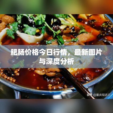 肥肠价格今日行情，最新图片与深度分析