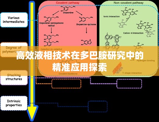 高效液相技术在多巴胺研究中的精准应用探索