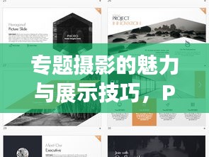 专题摄影的魅力与展示技巧，PPT呈现的艺术与策略