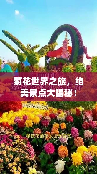 菊花世界之旅，绝美景点大揭秘！