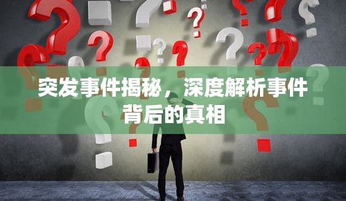 突发事件揭秘，深度解析事件背后的真相