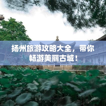 扬州旅游攻略大全，带你畅游美丽古城！