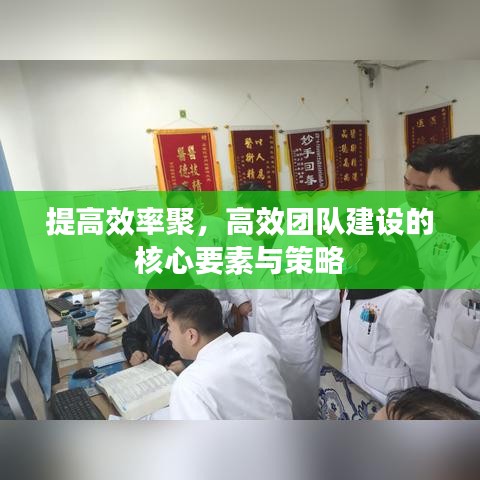 提高效率聚，高效团队建设的核心要素与策略