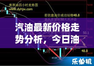 汽油最新价格走势分析，今日油价调整及市场影响因素解读