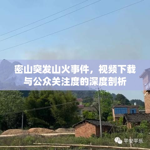 密山突发山火事件，视频下载与公众关注度的深度剖析