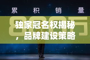 独家冠名权揭秘，品牌建设策略与优势全解析