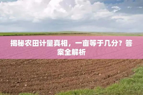 2025年5月4日