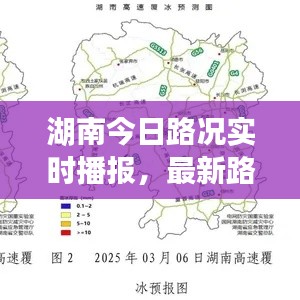 明夷于飞