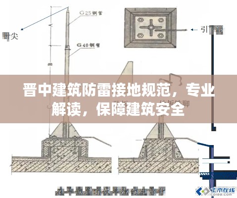 伤弓之鸟