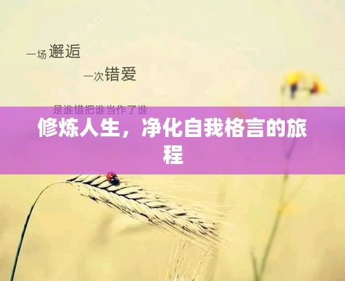 2025年5月6日