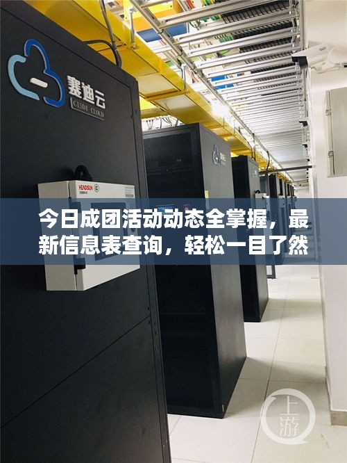 今日成团活动动态全掌握，最新信息表查询，轻松一目了然