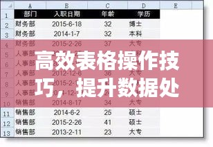 高效表格操作技巧，提升数据处理能力的秘诀法宝！
