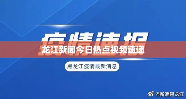 龙江新闻今日热点视频速递
