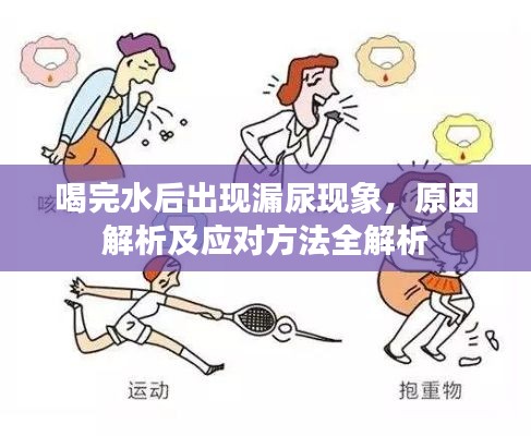 喝完水后出现漏尿现象，原因解析及应对方法全解析