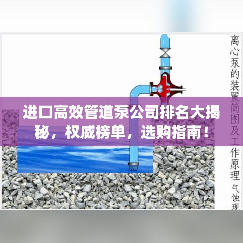 进口高效管道泵公司排名大揭秘，权威榜单，选购指南！