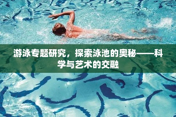 游泳专题研究，探索泳池的奥秘——科学与艺术的交融
