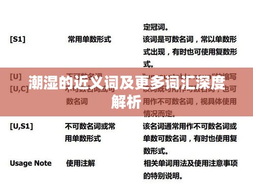 潮湿的近义词及更多词汇深度解析