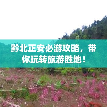 黔北正安必游攻略，带你玩转旅游胜地！
