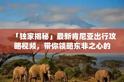 「独家揭秘」最新肯尼亚出行攻略视频，带你领略东非之心的极致魅力旅程