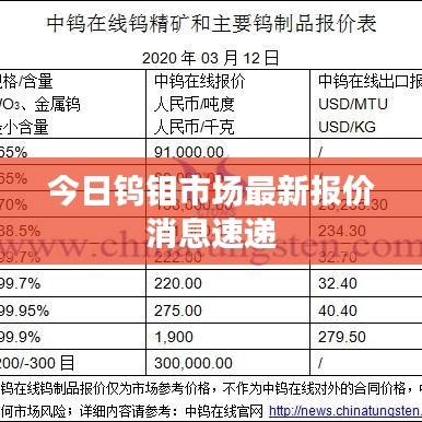 今日钨钼市场最新报价消息速递