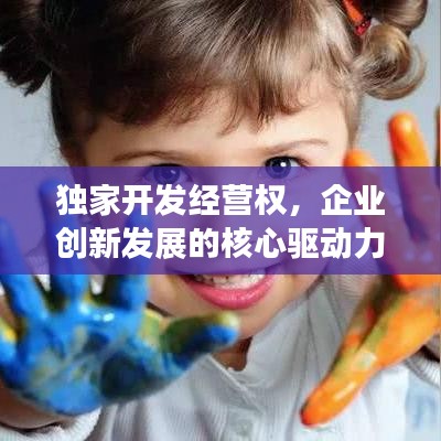 独家开发经营权，企业创新发展的核心驱动力