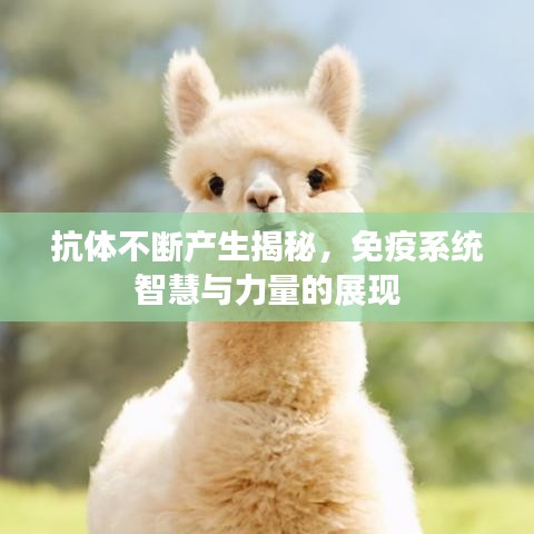 抗体不断产生揭秘，免疫系统智慧与力量的展现