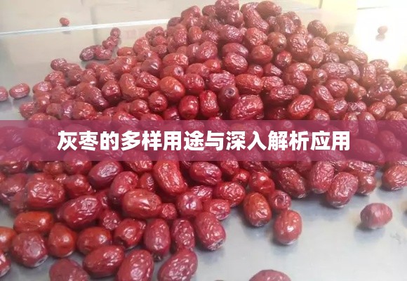 灰枣的多样用途与深入解析应用