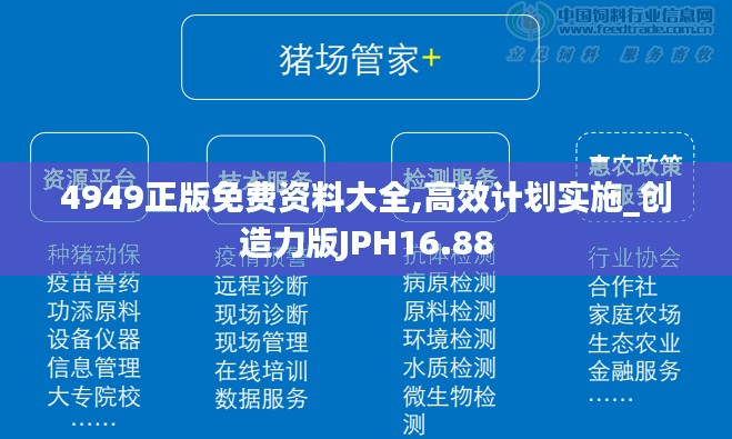 4949正版免费资料大全,高效计划实施_创造力版JPH16.88