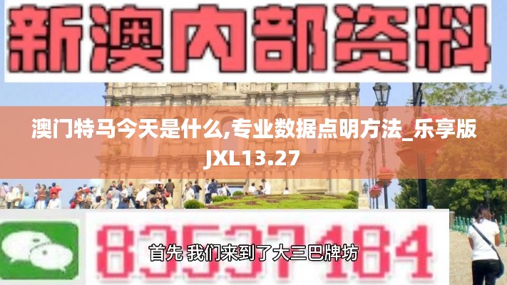 澳门特马今天是什么,专业数据点明方法_乐享版JXL13.27