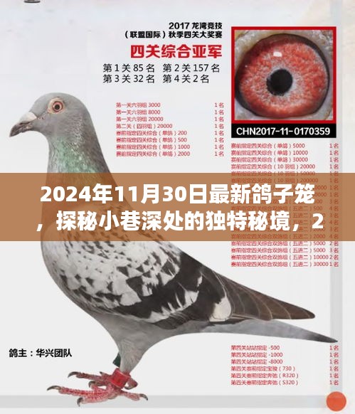 探秘小巷深处的独特秘境，揭秘时尚鸽子笼的独特魅力