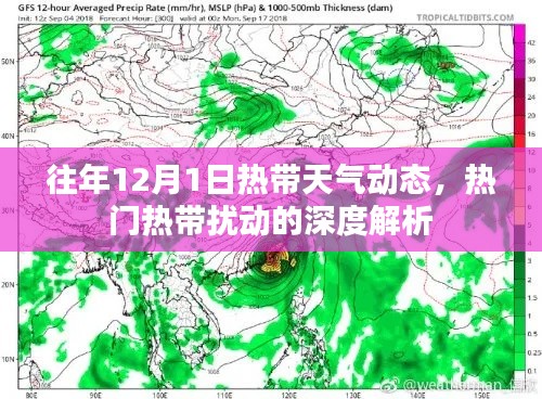 往年12月1日热带天气动态深度解析，热带扰动热门话题探讨
