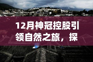 第2253页
