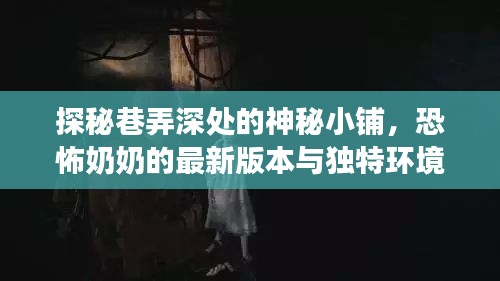 巷弄深处的神秘小铺，恐怖奶奶新版本独特环境探秘之旅