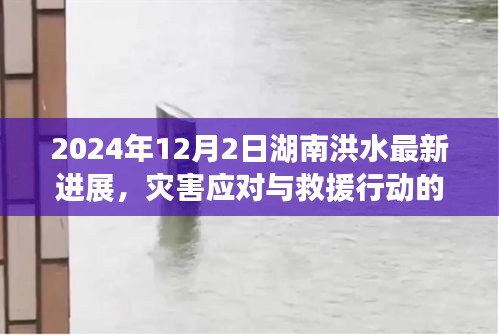 湖南洪水最新进展报告，应对行动与救援行动的综合报告（2024年）