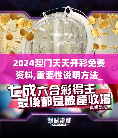 2024澳门天天开彩免费资料,重要性说明方法_特别款27.233-2