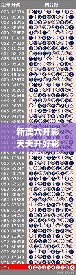 2024年12月4日 第56页