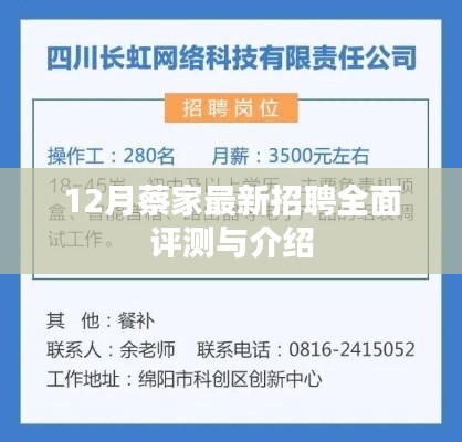 蔡家最新招聘全面评测与介绍（12月版）