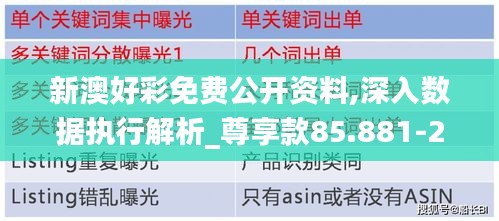 新澳好彩免费公开资料,深入数据执行解析_尊享款85.881-2