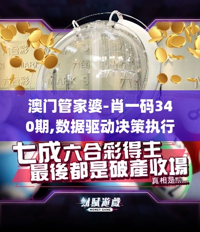 澳门管家婆-肖一码340期,数据驱动决策执行_Phablet37.285-4