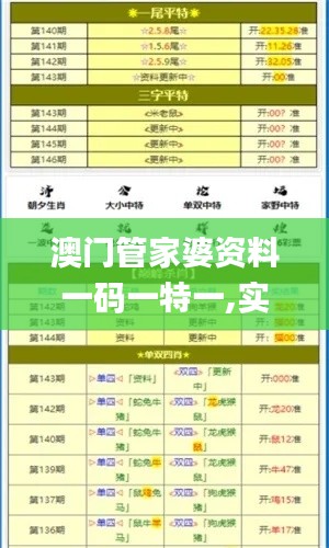 澳门管家婆资料一码一特一,实地评估说明_ios3.809-8