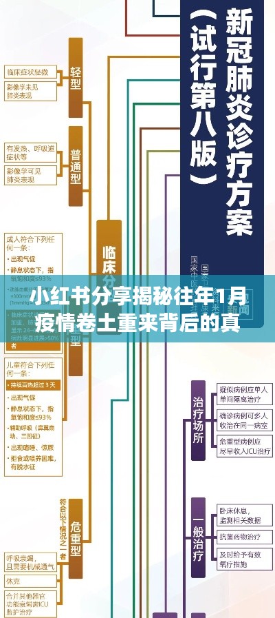 2024年12月5日 第21页
